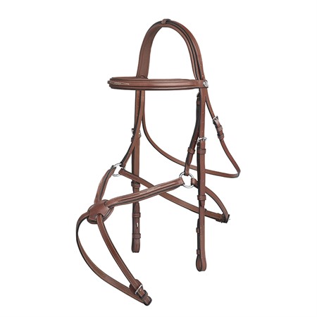 Ren Mexican bridle w embroidery