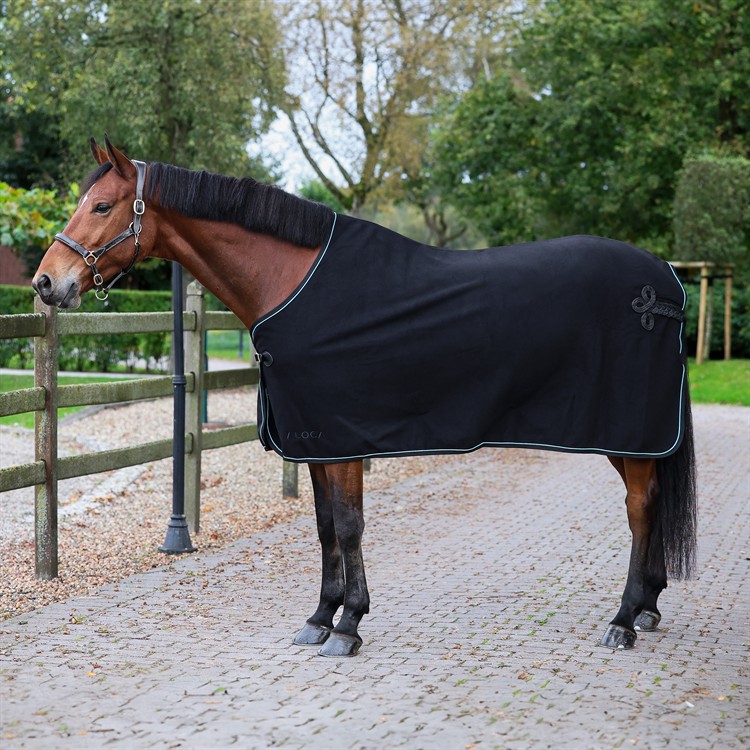 Aloga Pro Wool with shearling