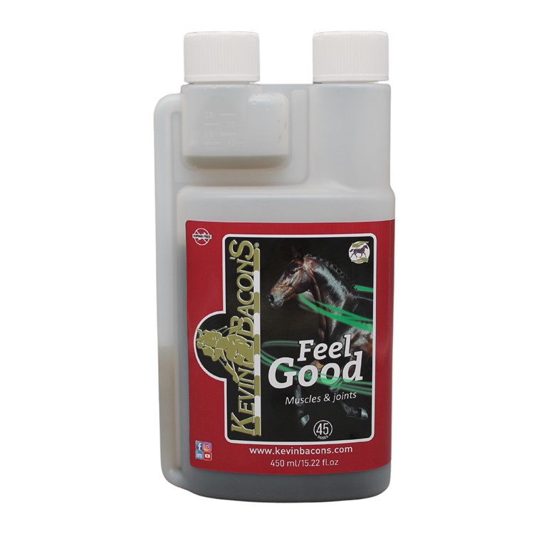 Kevin Bacon´s Feel Good 450ml